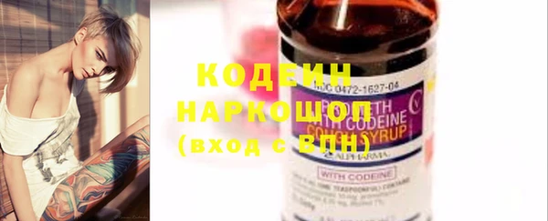 дмт Заводоуковск