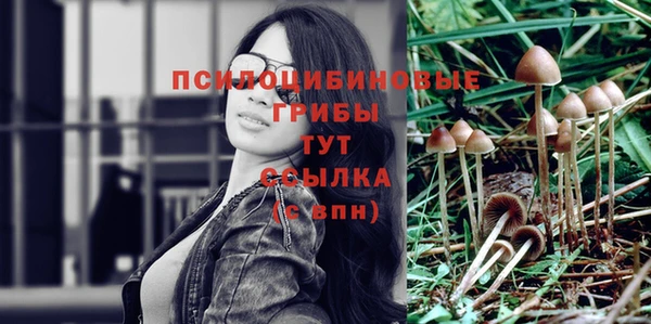 дмт Заводоуковск
