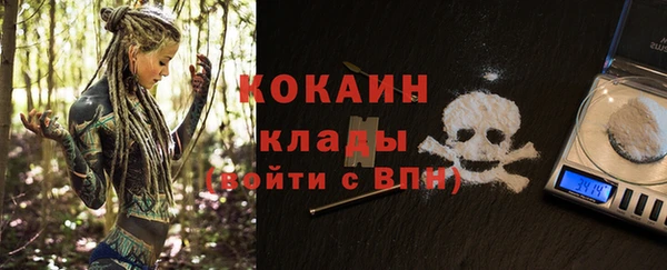 дмт Заводоуковск