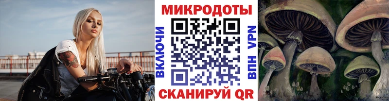 Галлюциногенные грибы Cubensis  Кадников 
