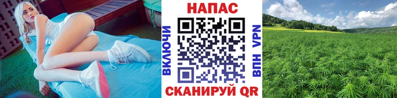 Марихуана тримм Кадников